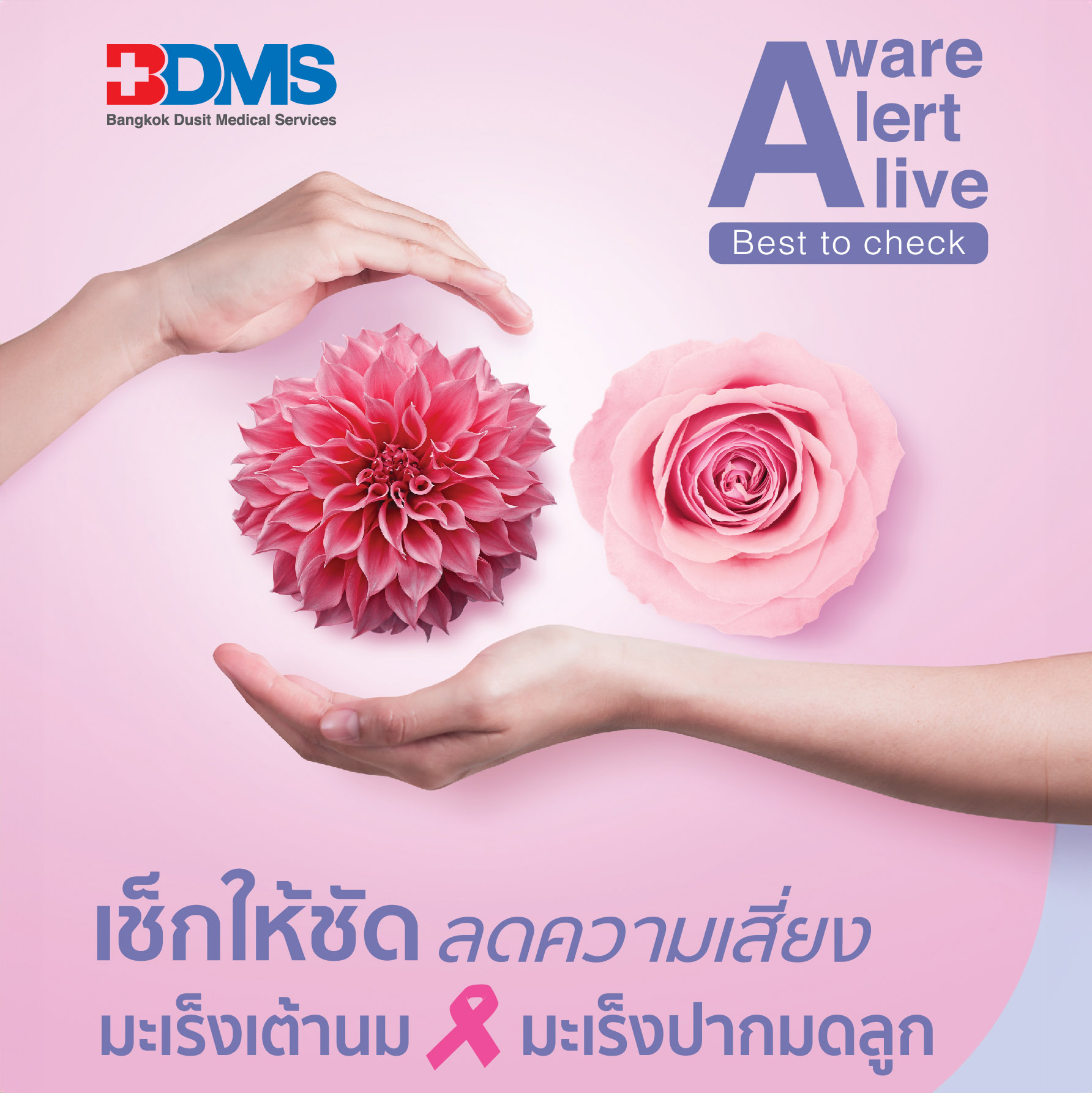 BDMS BREAST CANCER